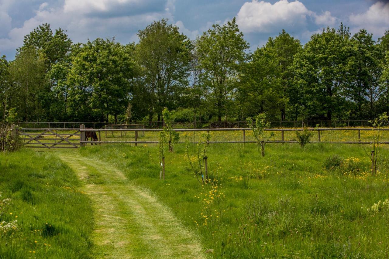 Вилла The Cowsheds Brinkworth Экстерьер фото